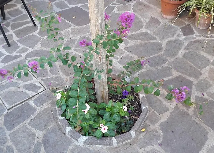 Florence Stadium B&B
